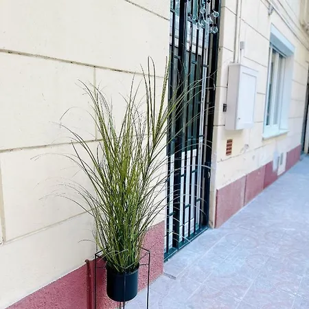 Basilica Apartment